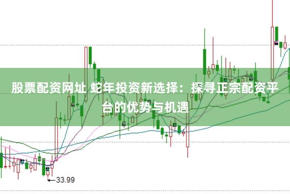 股票配资网址 蛇年投资新选择：探寻正宗配资平台的优势与机遇