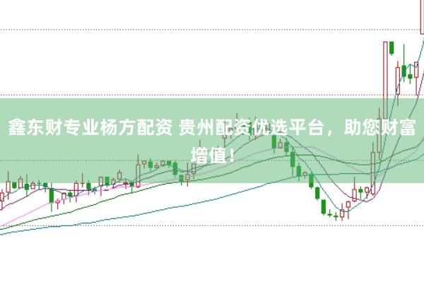 鑫东财专业杨方配资 贵州配资优选平台，助您财富增值！