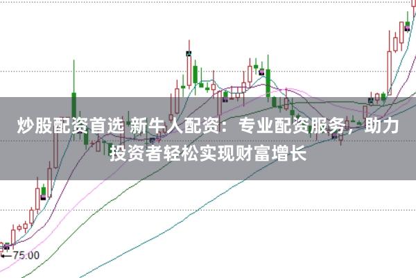 炒股配资首选 新牛人配资：专业配资服务，助力投资者轻松实现财富增长