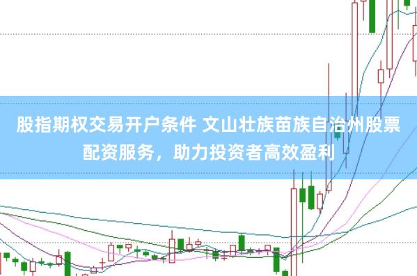 股指期权交易开户条件 文山壮族苗族自治州股票配资服务，助力投资者高效盈利