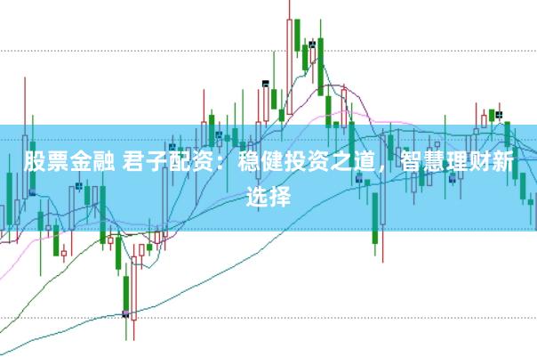 股票金融 君子配资：稳健投资之道，智慧理财新选择