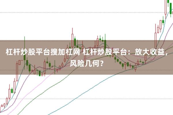 杠杆炒股平台搜加杠网 杠杆炒股平台：放大收益，风险几何？