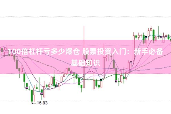 100倍杠杆亏多少爆仓 股票投资入门：新手必备基础知识
