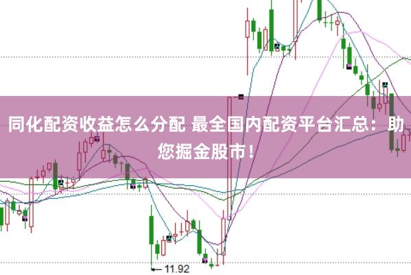 同化配资收益怎么分配 最全国内配资平台汇总：助您掘金股市！