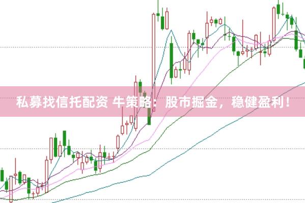 私募找信托配资 牛策略：股市掘金，稳健盈利！