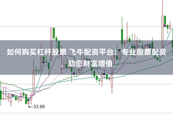 如何购买杠杆股票 飞牛配资平台：专业股票配资，助您财富增值