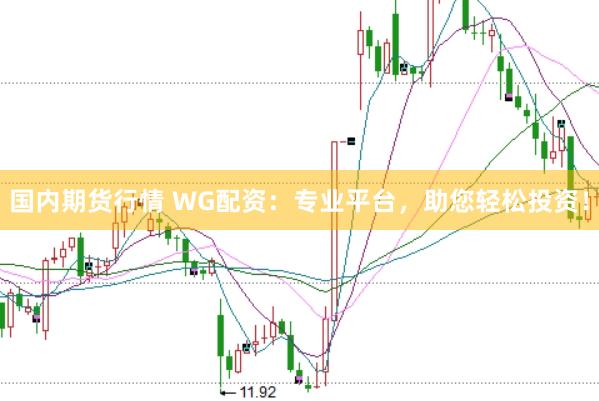 国内期货行情 WG配资：专业平台，助您轻松投资！