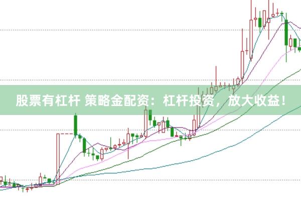 股票有杠杆 策略金配资：杠杆投资，放大收益！