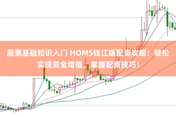 股票基础知识入门 HOMS钱江版配资攻略：轻松实现资金增值，掌握配资技巧！