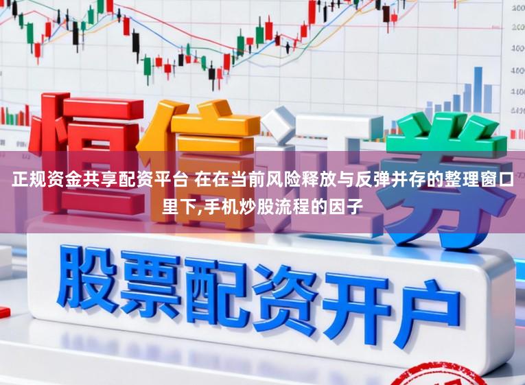 正规资金共享配资平台 在在当前风险释放与反弹并存的整理窗口里下，手机炒股流程的因子